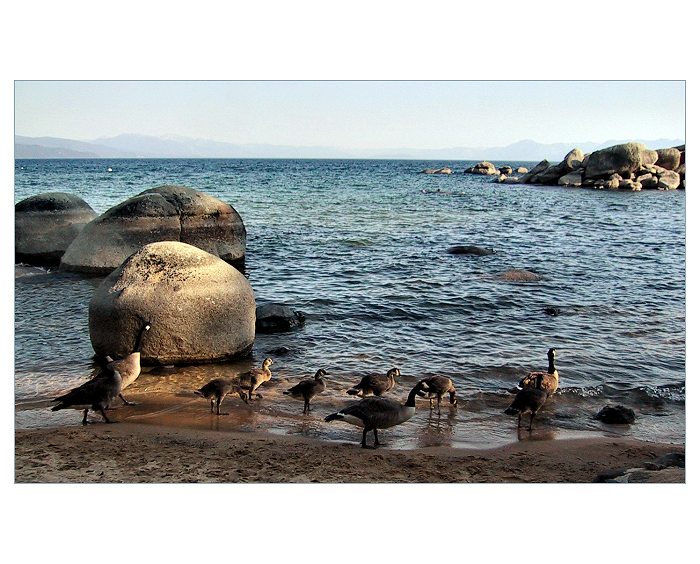 Lake Tahoe IV