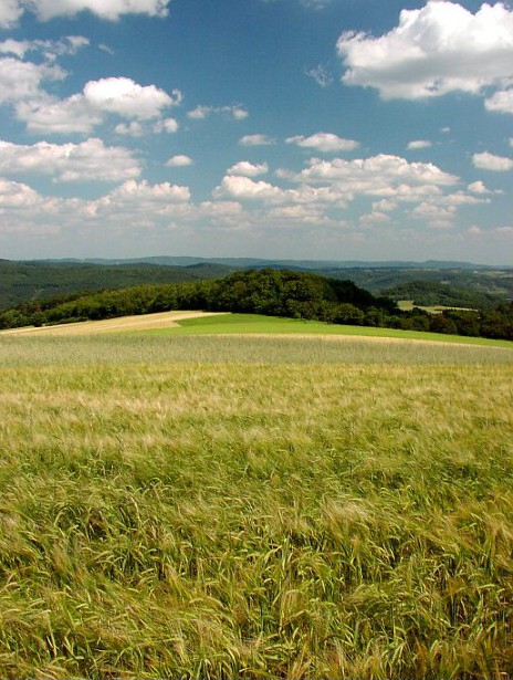 Veselský chlum