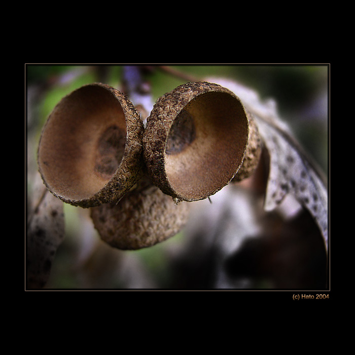 <b>... 8-)  ...</b><br>