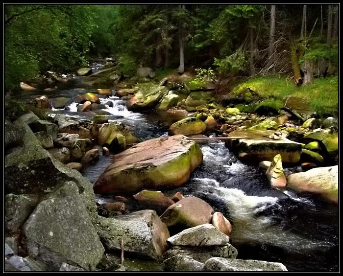 <b>Cesta ke štěstí</b>