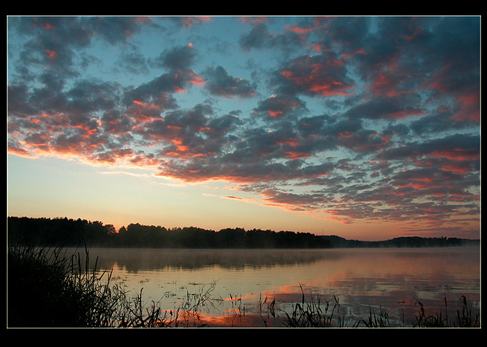 Ráno na rybách II.
