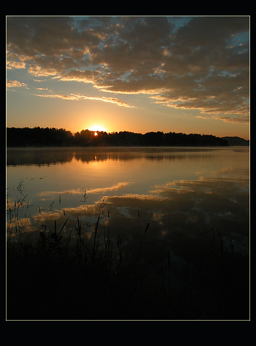 Ráno na rybách III.
