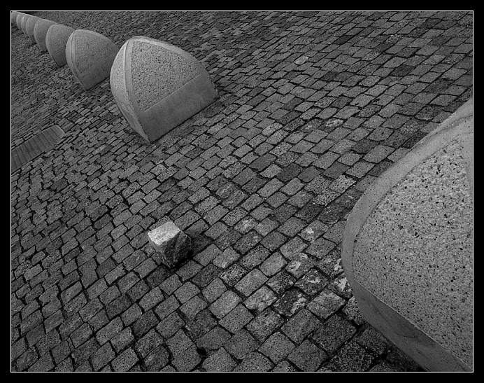 Black sheep in white