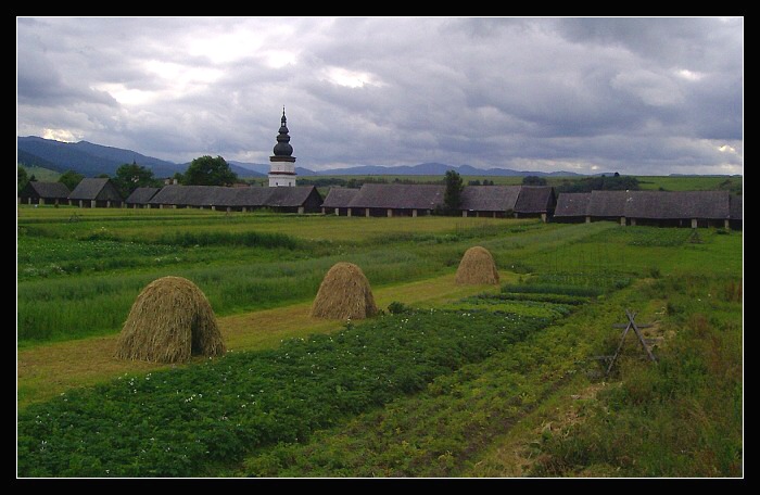 3 kopy sena pred búrkou