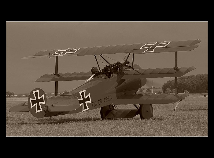 FOKKER Dr I
