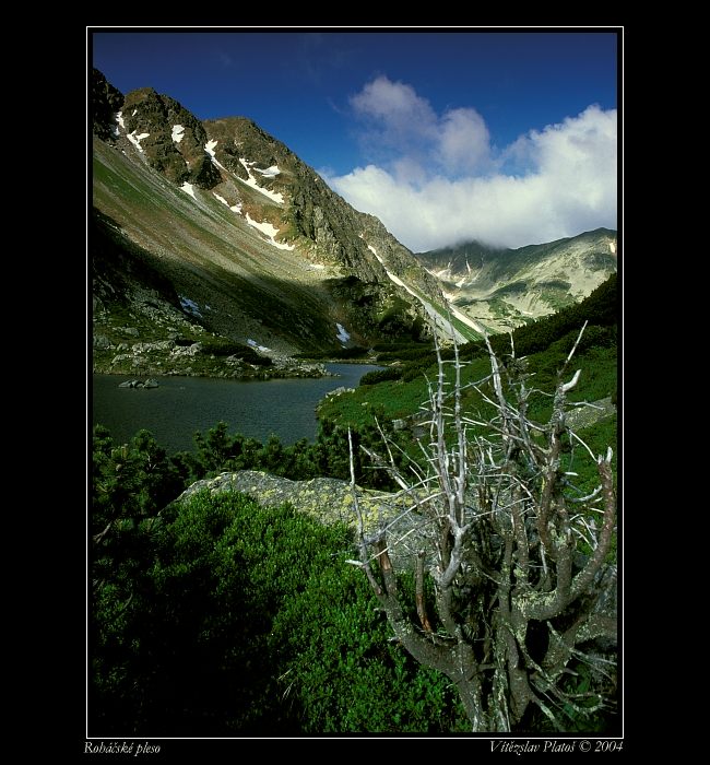Roháčské pleso