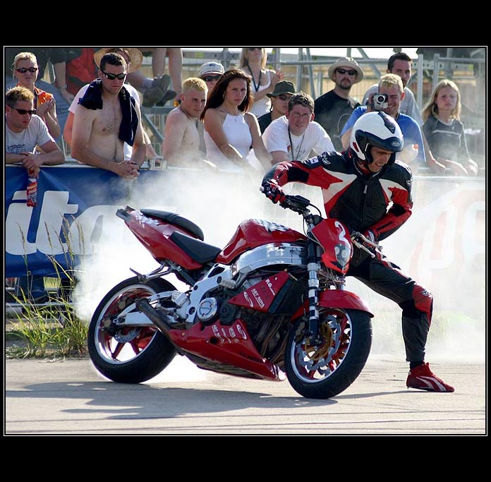 <b>SFD 2004</b>