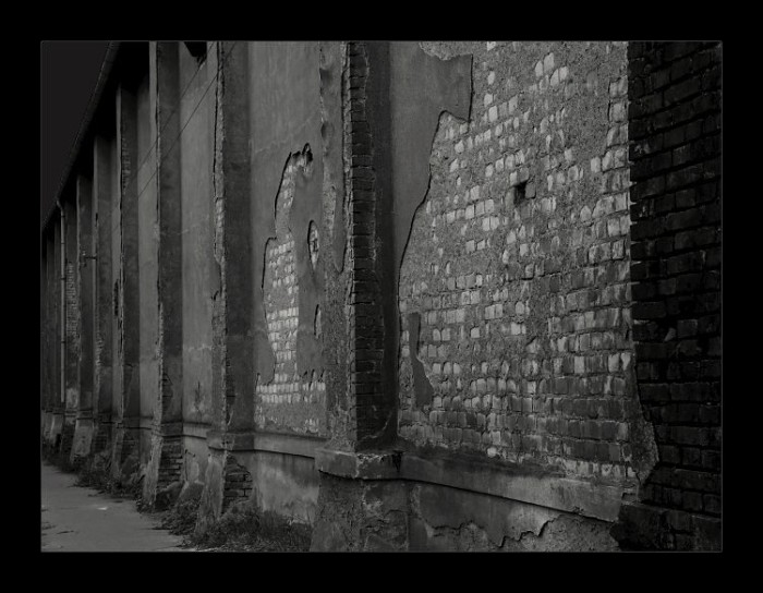 The Wall