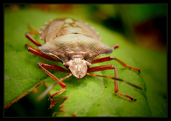 ...face to face...