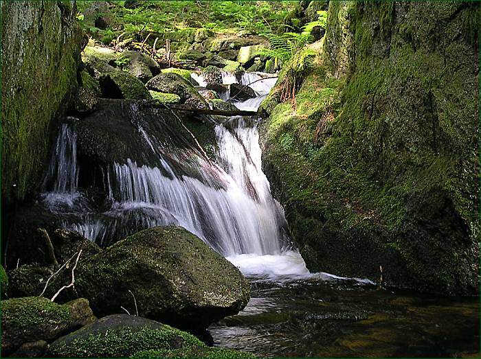 šumava