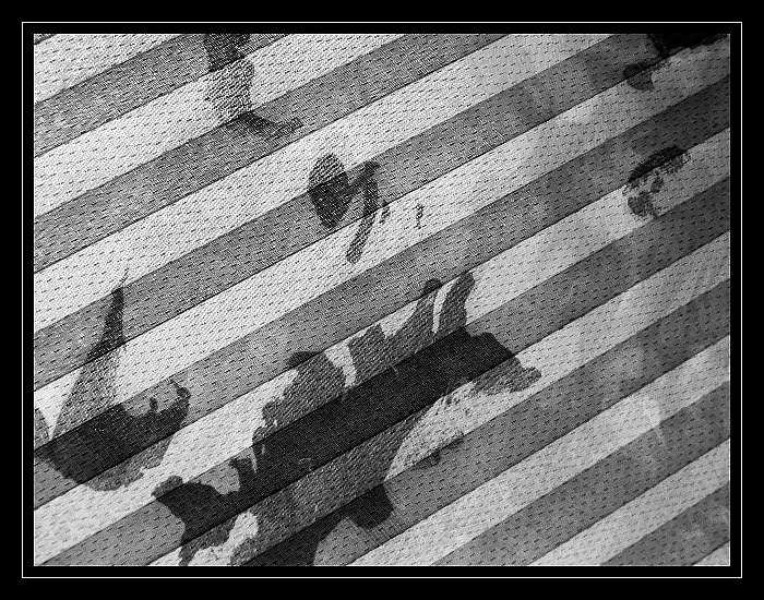 <b>///linie za oknem///</b>