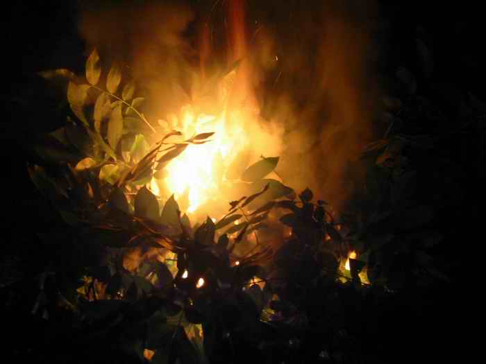 ..:: Fire ::..
