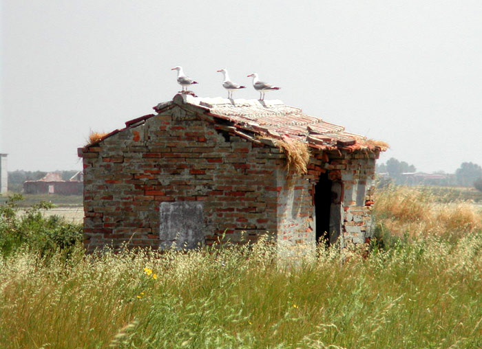 VALLI DI COMACCHIO