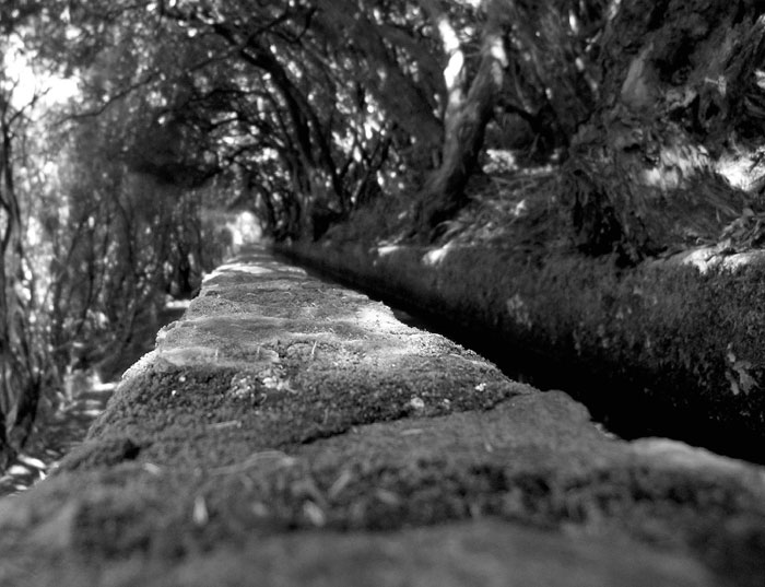 Levada