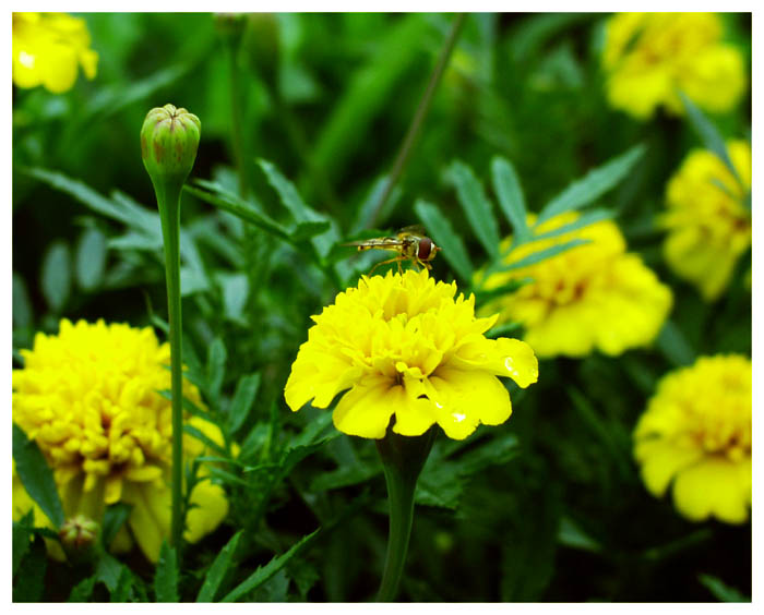 prostě jen tak...........