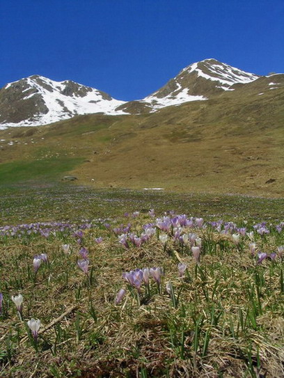 Dolomity v máji