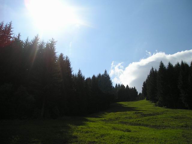 Zjazdovka v lete