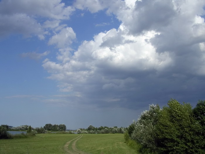 Kusok pokoja v BA