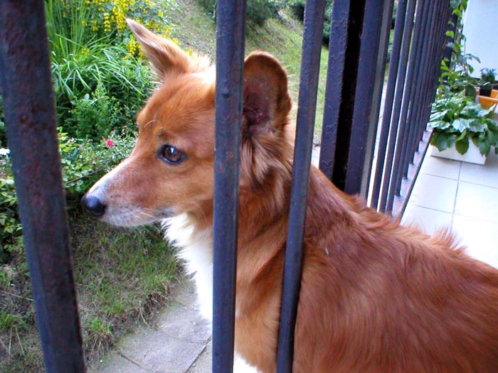 Čekání na nevěstu.