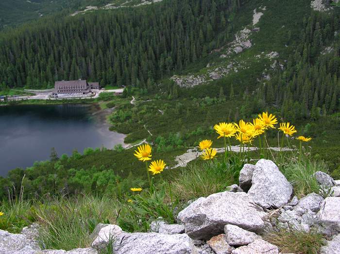 Popradske pl