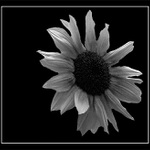 Letošní barevné léto.....