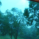 Bourka Pro Lukase Sedlacka