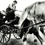 chuze a pohledy II/4