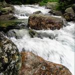 Studenovodský potok