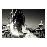 Kočka na rozpálené plechové střeše