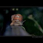 <B>Ho ho honem pryč, už jede!!! </B>