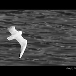 <B>TAK SE TU VŠICHNI MĚJTE PĚKNĚ I ...</B>