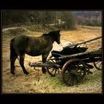 Smutek ve stylu westernu......