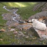 V pohodě s nadhledem