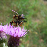 tak TOTO je ten dvojplošník, drahá!