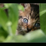 <b>*Pozdrav malého lovce*</b>