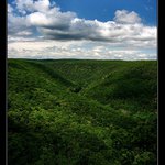 <b>..:Národní park Podyjí I:..</b>