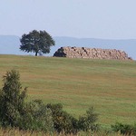 Koncom leta