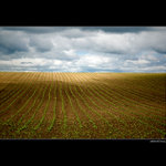 Moravská krajina II.