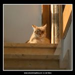 Na mně trochu netradiční zvíře:-)