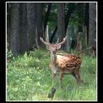 Čuchám tady člověčinu...