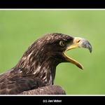 Musíte tady tak řvát?!