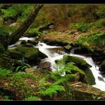 Šumava-Popelný potok