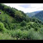 Rychlé občerstvení