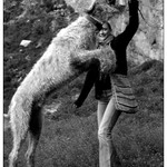 .: Hrátky s psíkem vol. II. :.