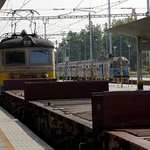 tramp si vybira vagon