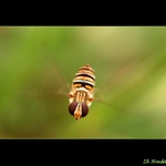 *** přistáváme ***