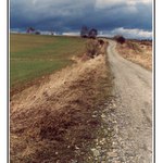 Vine se cestička, vine se mezi poli...