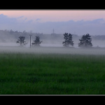 <b>Za mlhou hustou tak, že by se dala krájet...