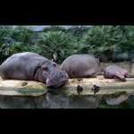 Taká normálna rodinka