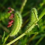 Dobře jsem se nasnídala...